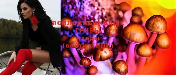 трава Абаза