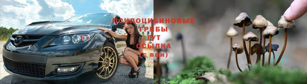 дмт Алексин