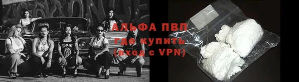 apvp Алзамай