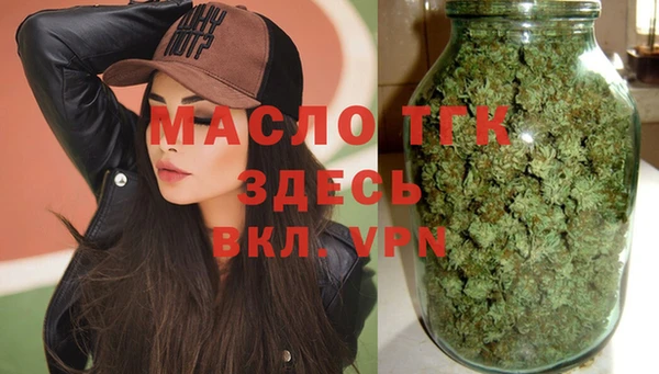 дмт Алексин
