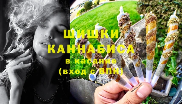 apvp Алзамай